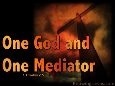 1 Timothy 2:5 One Mediator Between God And Man (orange)